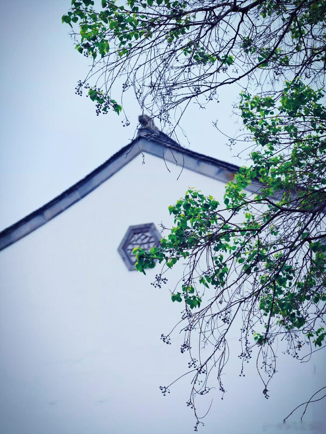 用眼睛寻找美丽 摄影中的空间布局：不同形式的框式构图，会带给人不一样的视觉……江