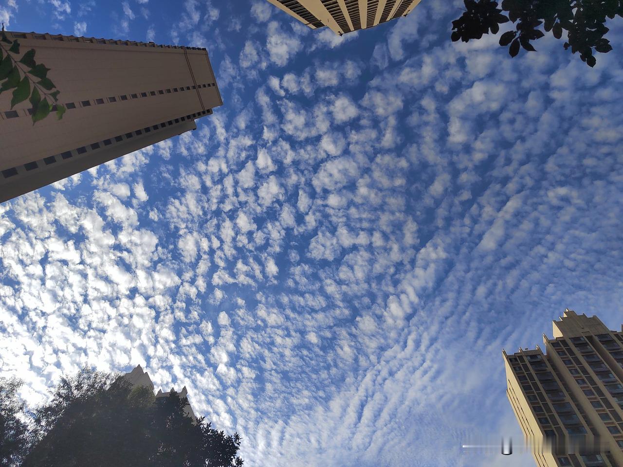 这个天真治愈啊
心情不好的时候抬头看看天空吧
多么美啊