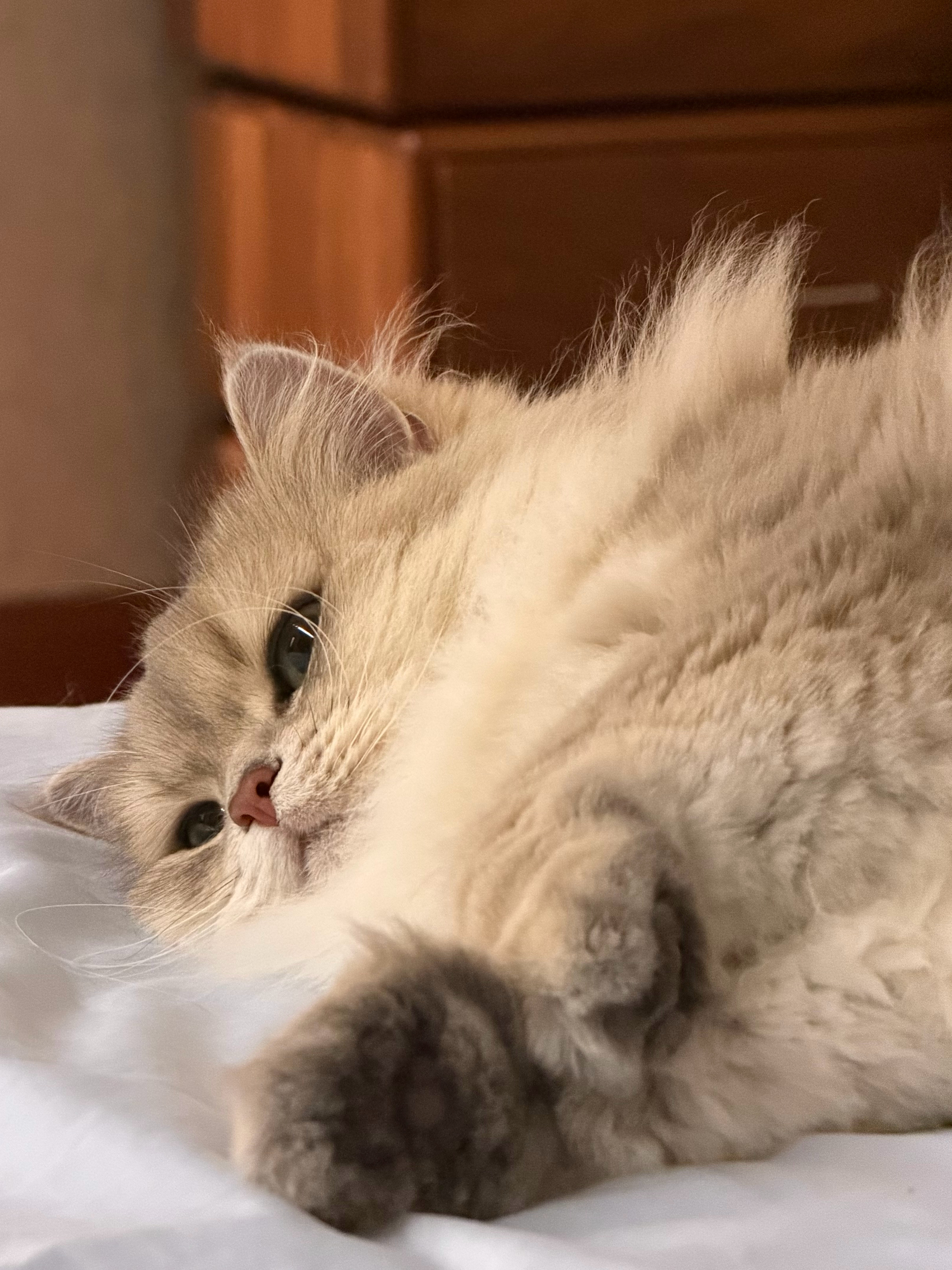 晚安😴 
