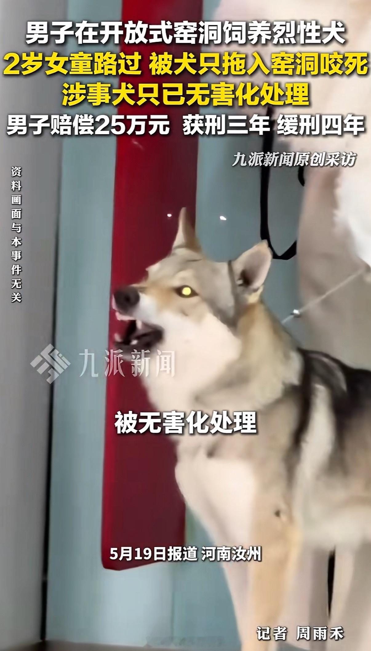 烈性犬咬死2岁女童主人赔25万这父母也有一定责任，两岁的孩子哪个身边没人跟着，还