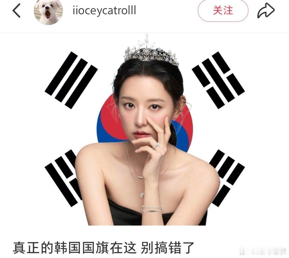 金智媛的脸蛋很曼妙。 