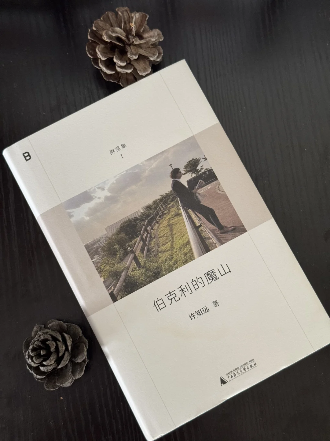 有请内地知名网红许知远，带你领略尴尬