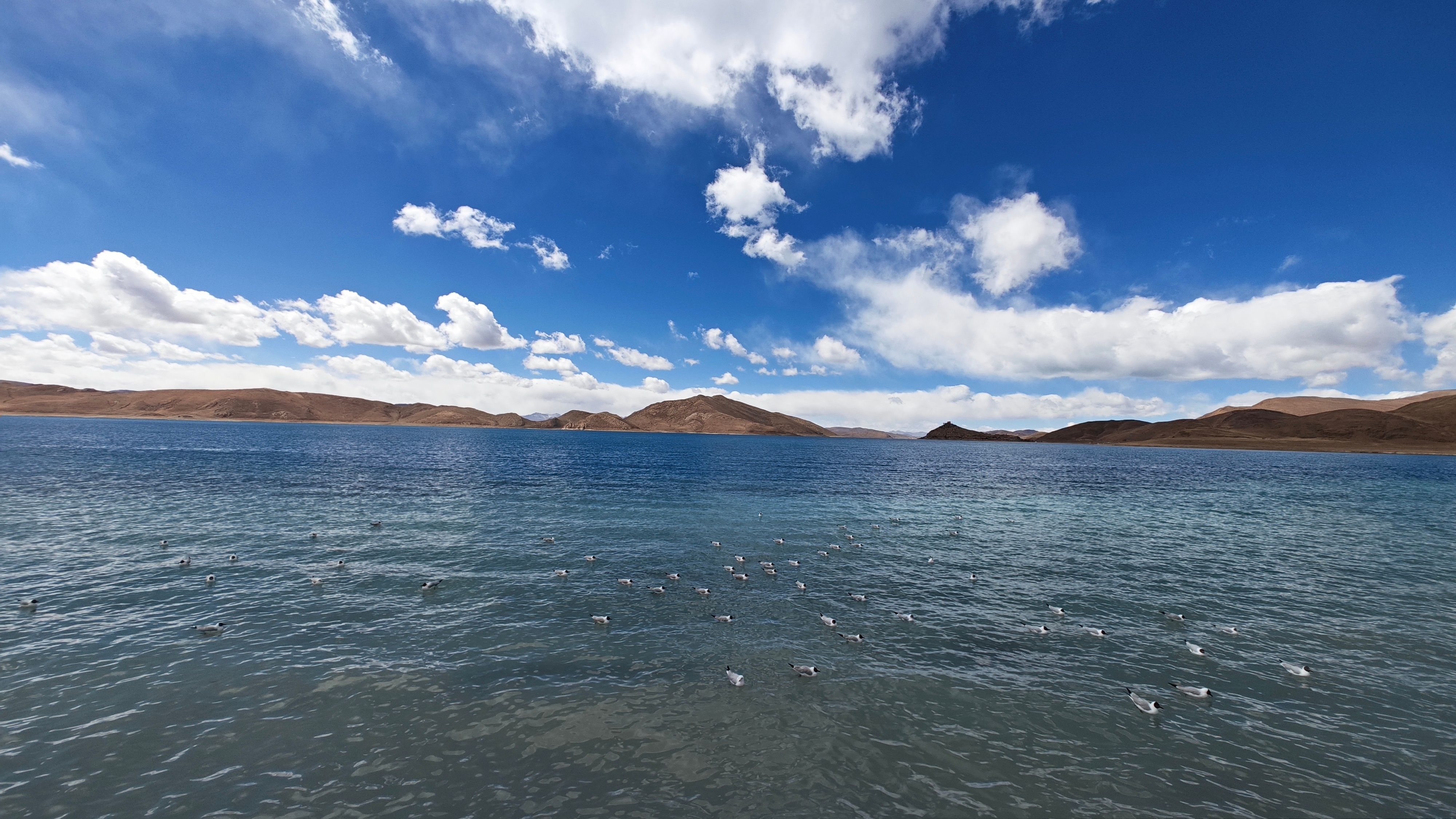 刚才才知道ES9落地拉萨了应该是准备前往阿里，此刻离我几公里，你们说我要去看看吗