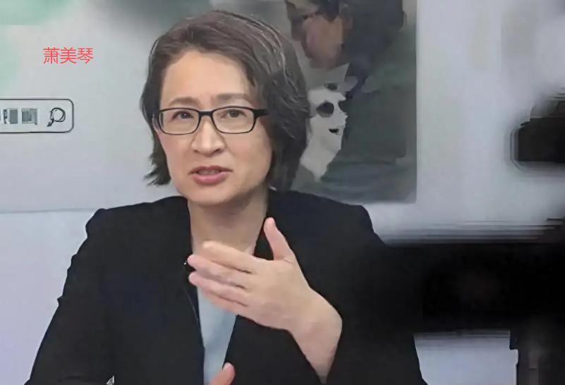 “中国夺台意图早已不是秘密！”台湾地区副领导人萧美琴最近在外媒采访中大放厥词，狂