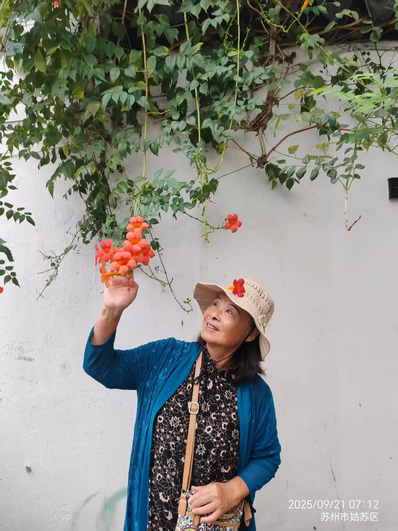 分享城市新鲜事桃花坞小巷子的花花草草。