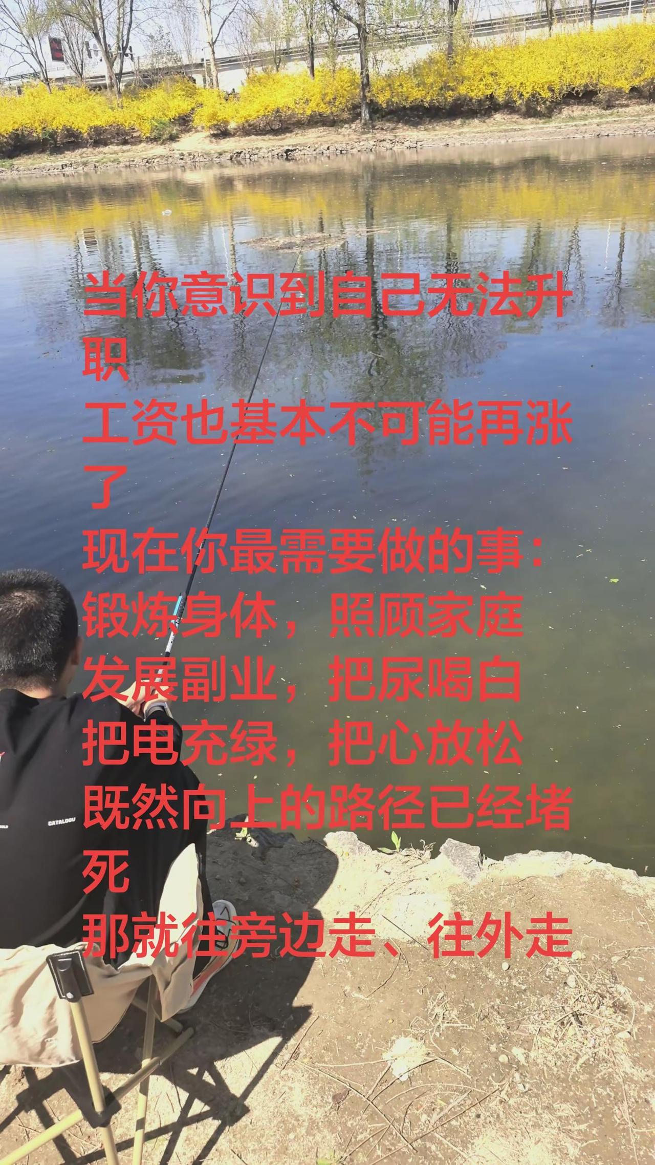 中年老登 职场那些事 设计师日常