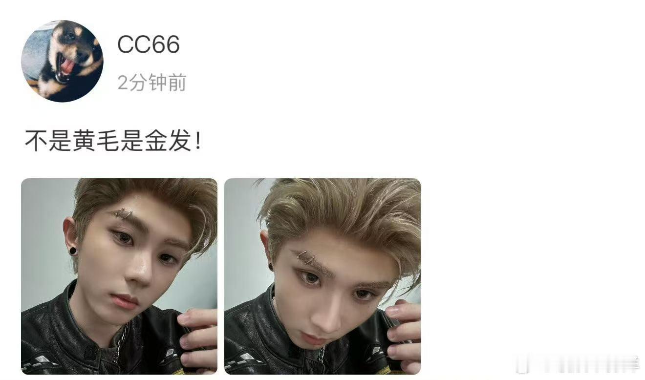 马嘉祺说不是黄毛是金发 真心觉得这款金发特别适配马嘉祺，衬得整个人气质干净又高级