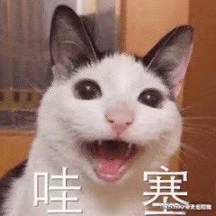 广州往返中山仅需15分钟  广州和中山 15 分钟的快速通勤，是跨城生活的新希望