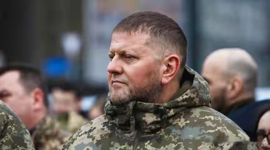 经德国调查:扎卢日内指挥炸毁“北溪”

据《乌克兰真理报》10日援引美国《华尔街