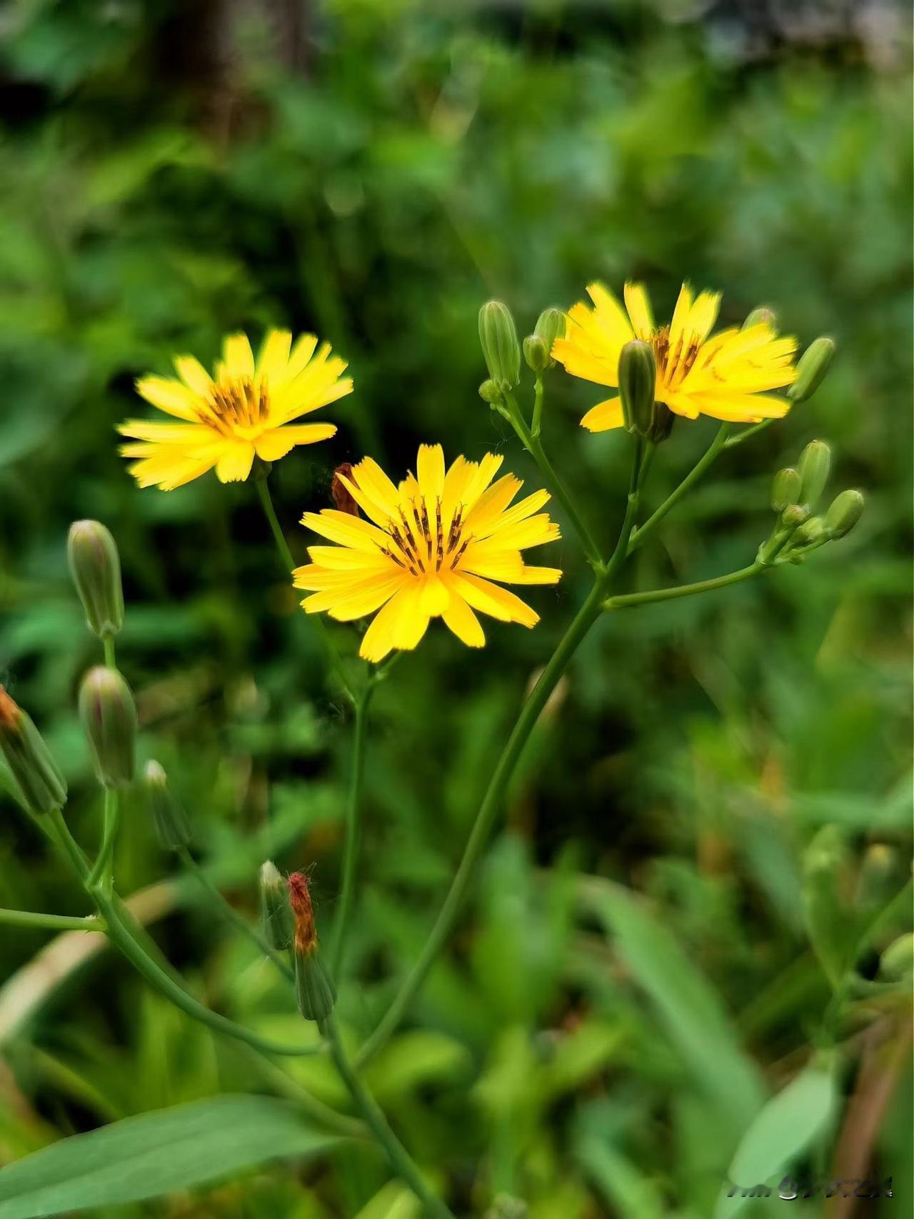 【小对联】
上：偶遇；
下：……？