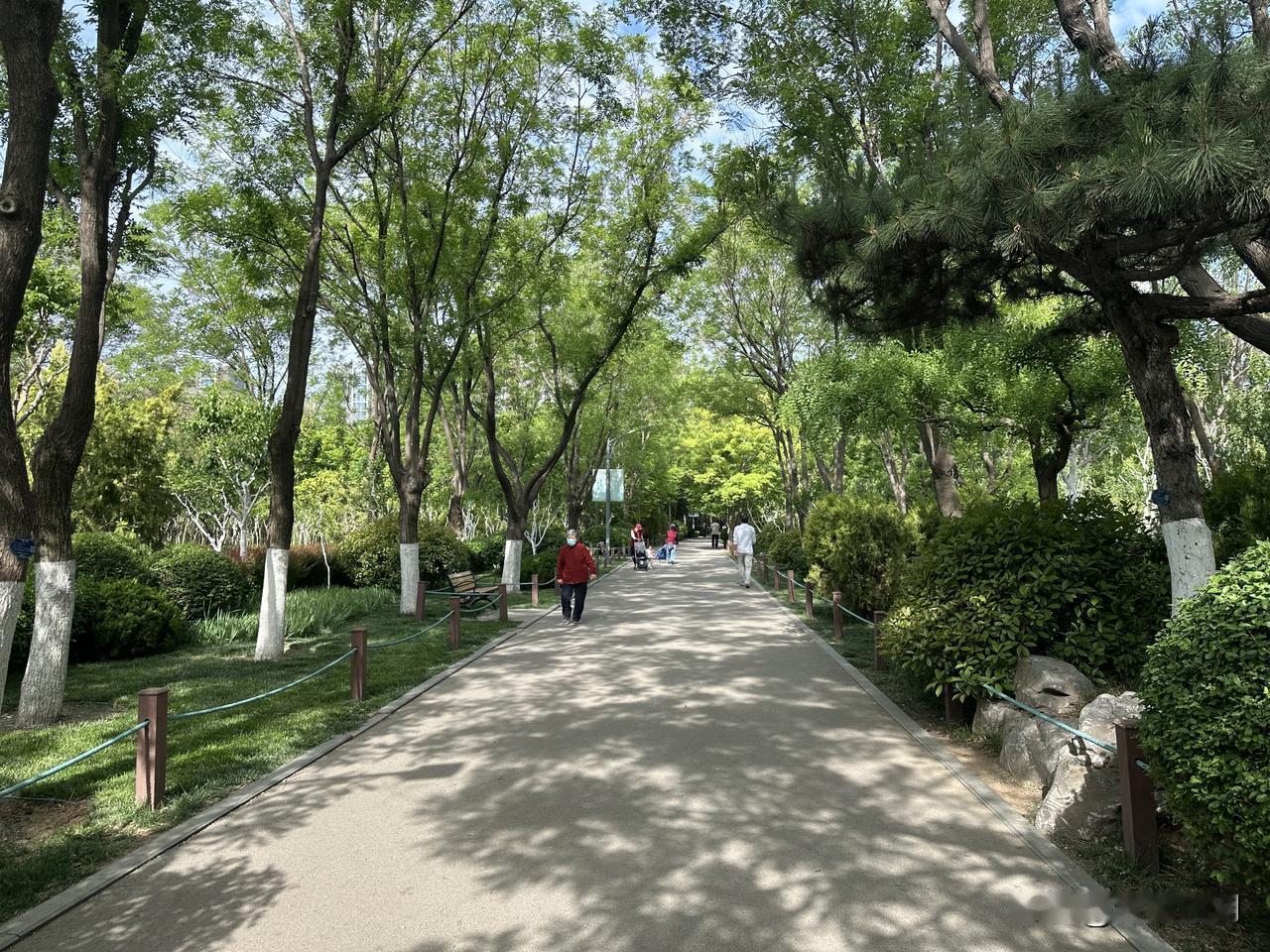 户外空间开阔，利于尚派鹰捉动作的充分施展。