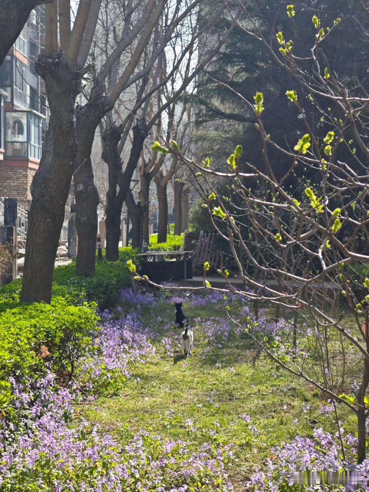 很多人做产品、做副业，天天绞尽脑汁发广告，把产品夸得天花乱坠，可就是没人买单，越