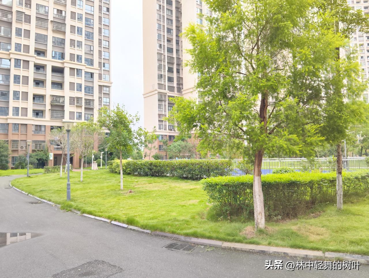 原「老胡心语」，新号继续分享中年感悟。
历经世事浮沉，守一份内心安然，
欢迎旧友