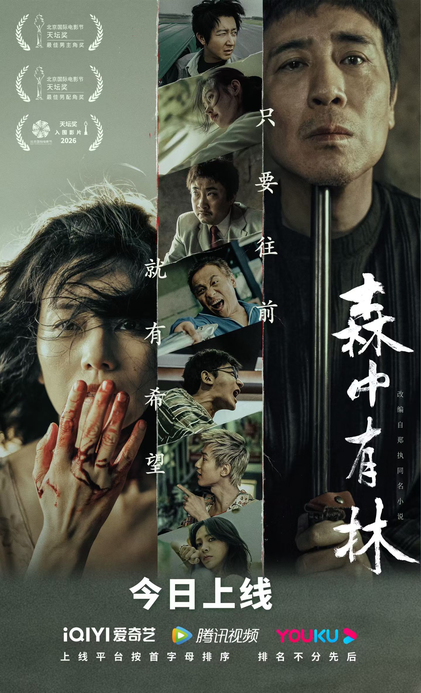 电影《森中有林》今日全网上线，电影院错过的可以看起来了 