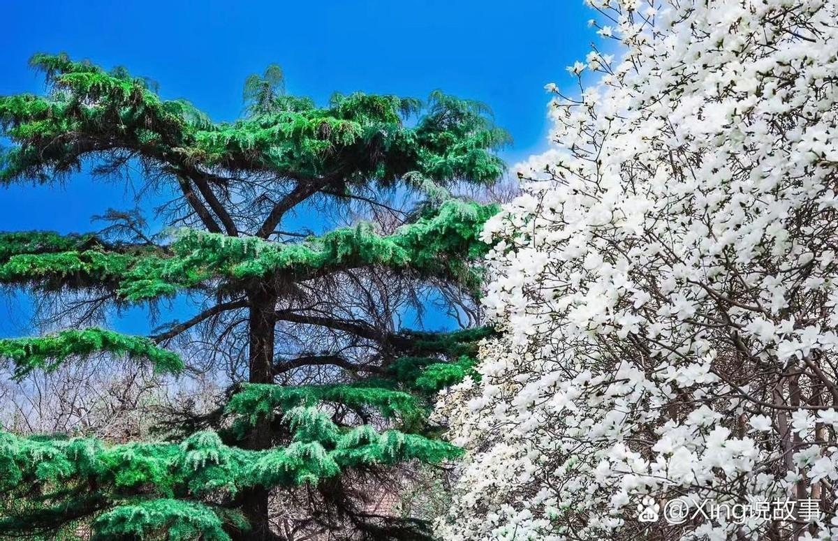 饭桌上，孩子爸把两个侄女三百多分的试卷摊开，反复念叨。
那会儿全家都觉得，这俩孩
