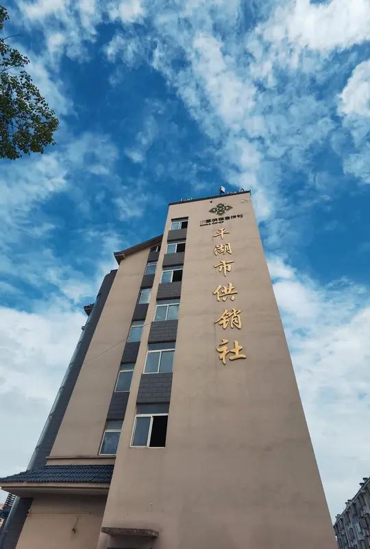 供销社系统本是为服务“三农”、促进城乡物资交流而存在的重要组织，可如今却出现了腐