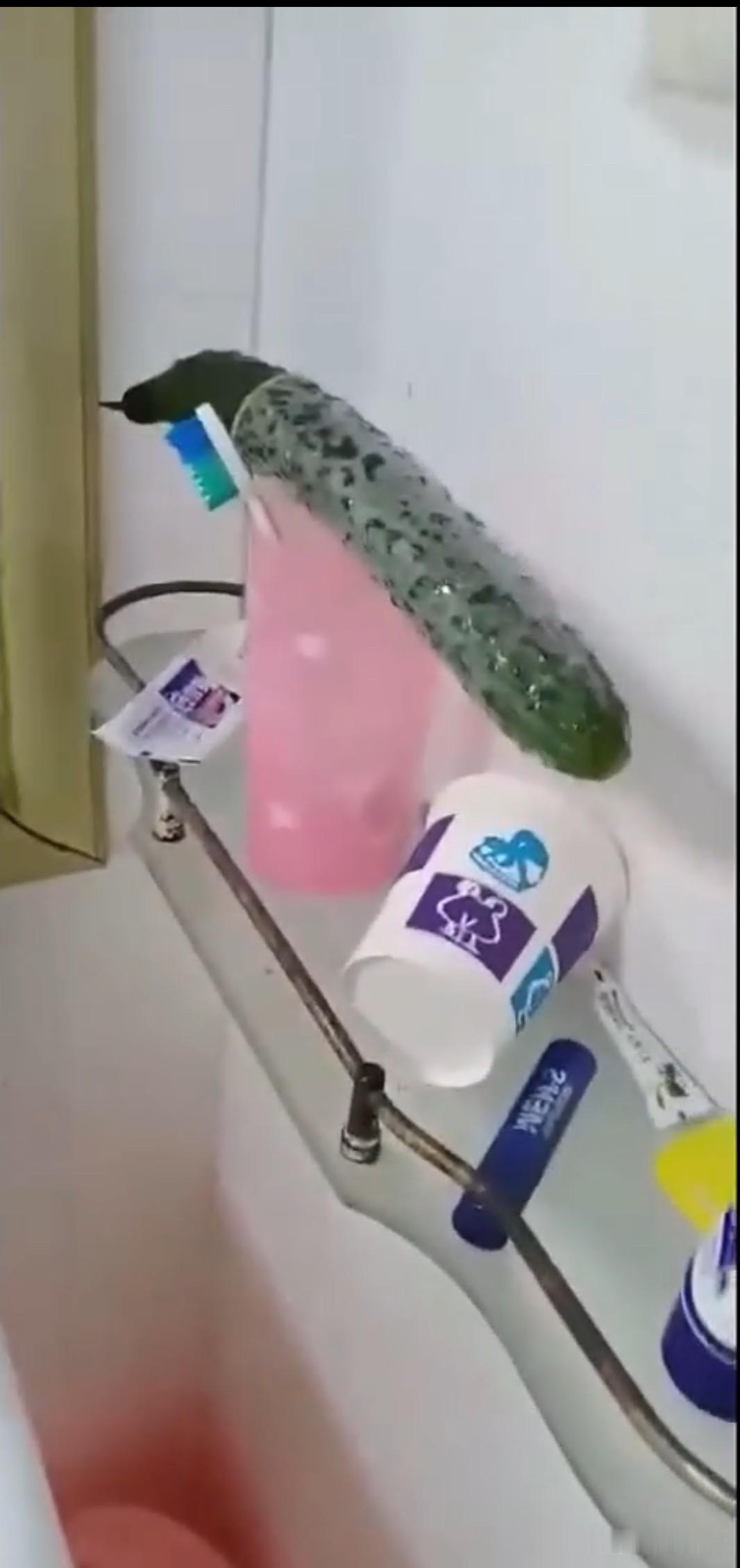 老实交代：这究竟是哪位女生的？ 这么好的黄瓜怎么就放在卫生间，不好好收起来？[呲