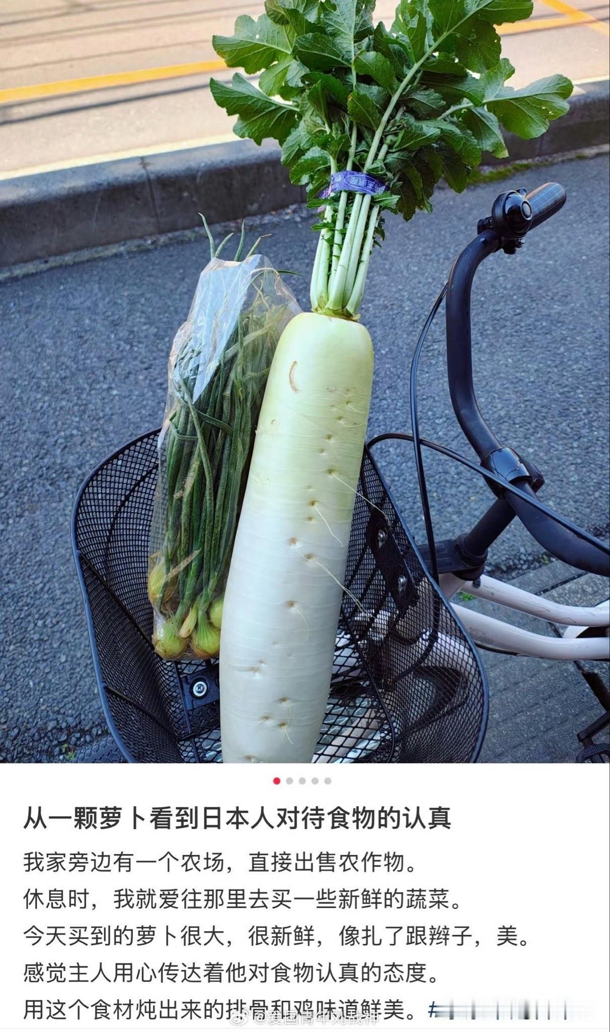 精日吃萝卜连叶子一起吃