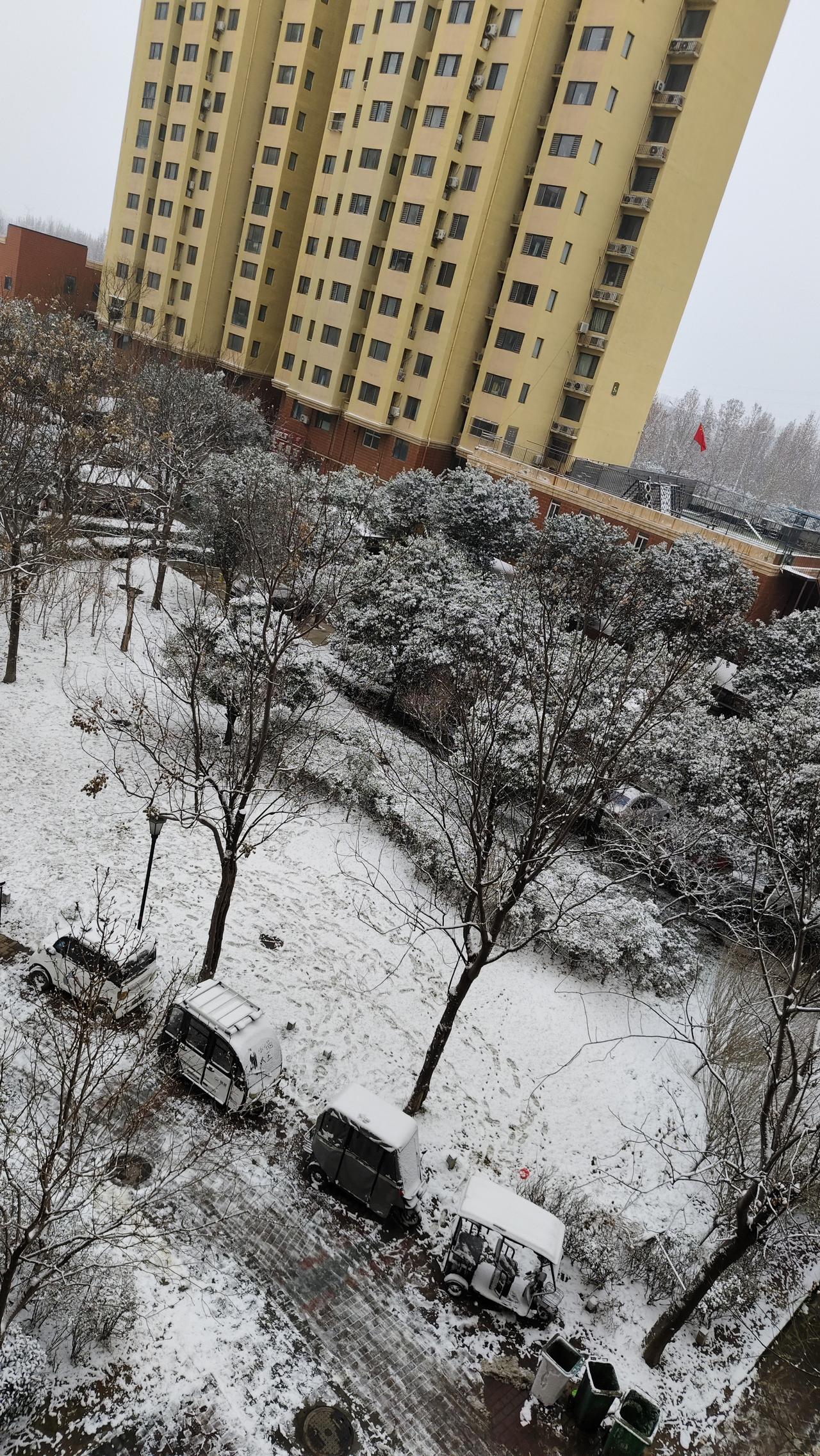 小区雪景里的冬日日常
 
推开窗撞见小区被白雪裹了个严实，枯黄的树枝上积着一层薄
