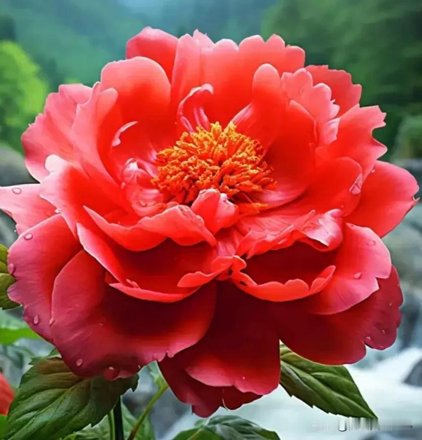 世界很大，无边无际；世界很小，在头条里遇见。你相信吗？茫茫网海间，在头条里会遇见