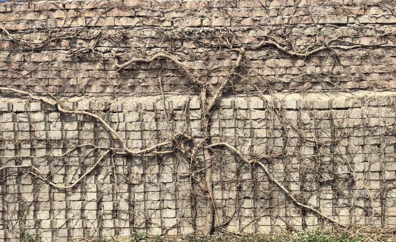 现代美以伊之间的战争持续时间虽然才一个多月，但战争烈度极大，很多底线都已经突破，