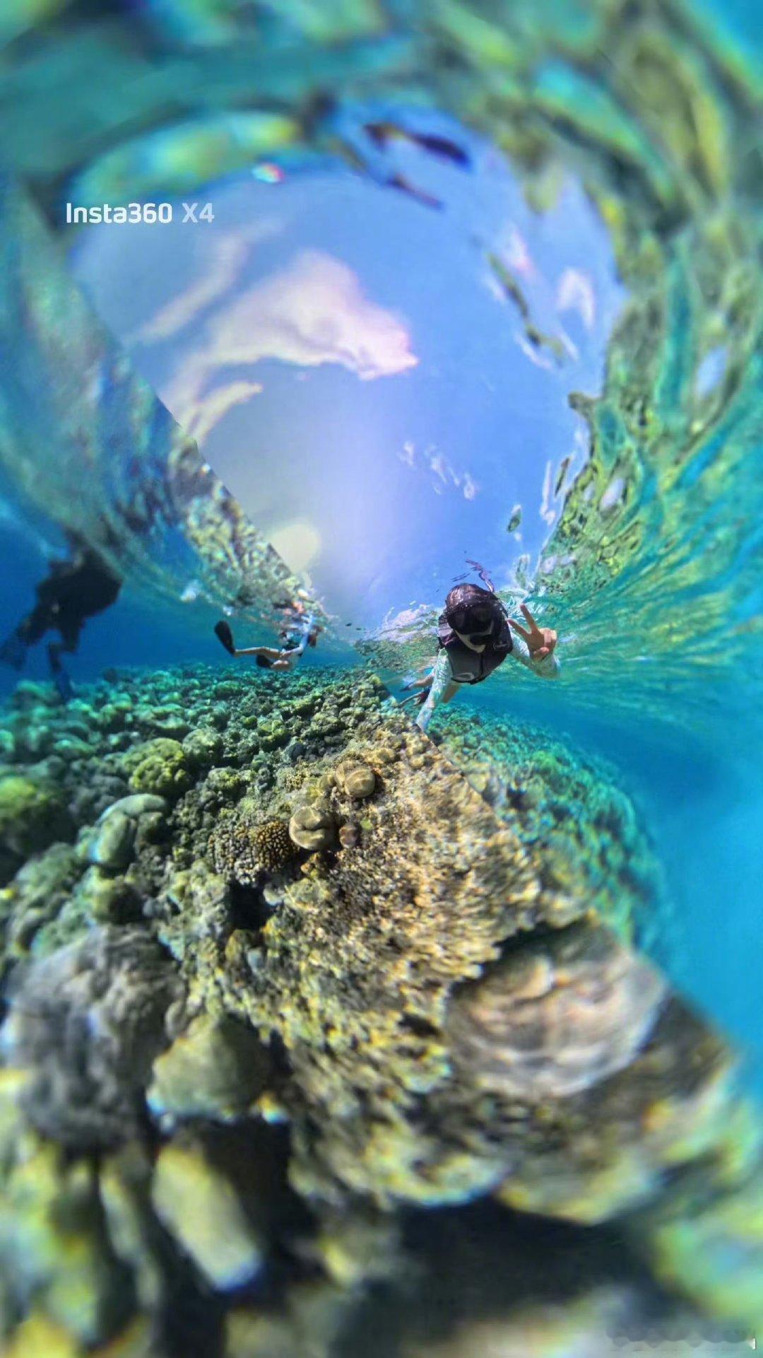 孙俪潜水照孙俪晒一家四口度假照孙俪晒一家四口度假照，大家都笑得很开心，阳光、大海