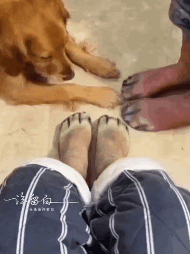 瞧狗子这小眼神：人面兽脚，你们到底是何方妖孽？