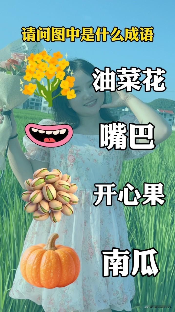 成语大挑战：油菜花 嘴巴 开心果 南瓜