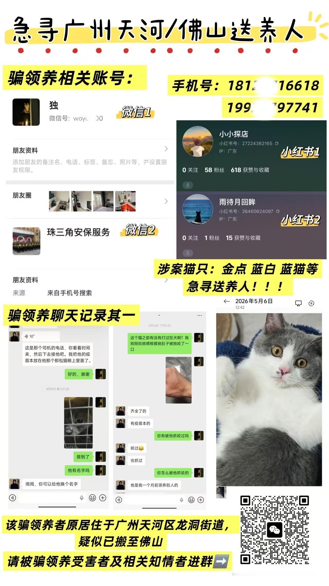 我看了这张曝光图，这是一起典型的**“假领养、真虐猫/倒卖”事件**，目前在广州