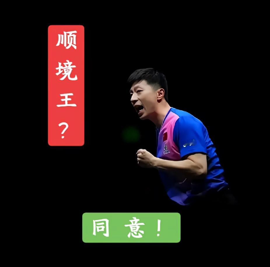 这组关于🏓的照片谁做的，简直太生动形象啦！