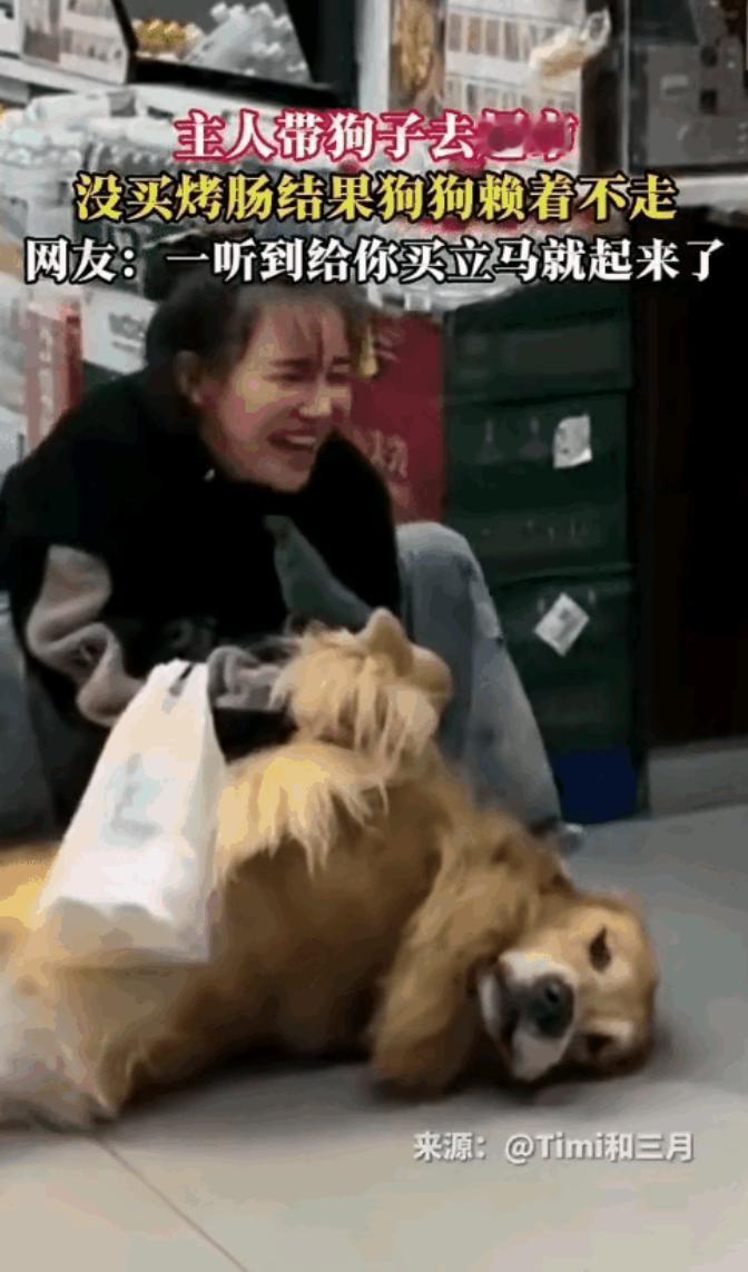 笑死了！一女子带着狗狗来超市买东西，进门时狗狗兴高采烈地跟在主人身后，尾巴摇得像
