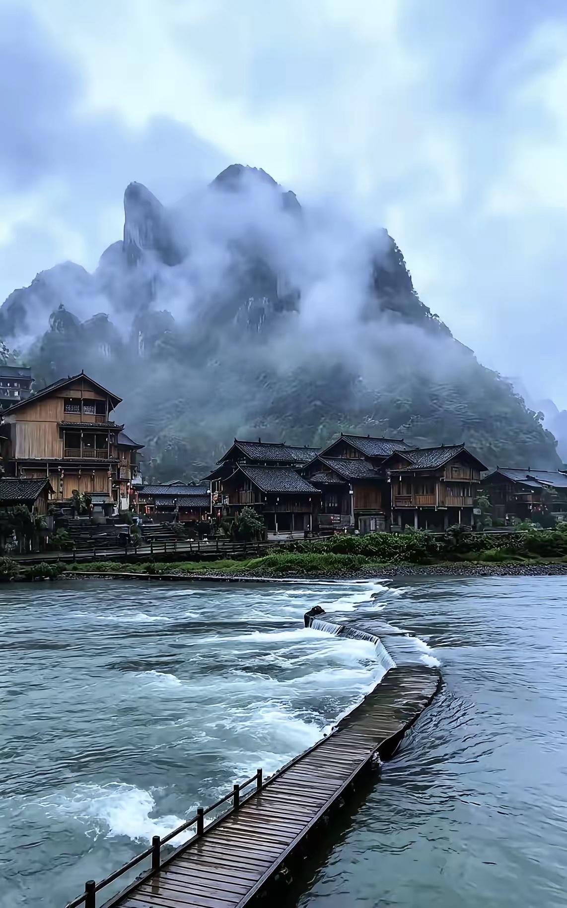 一位高人说:
“你站在厨房，鱼就是食物，你站在佛堂，鱼就是生命，你站在市场，鱼就
