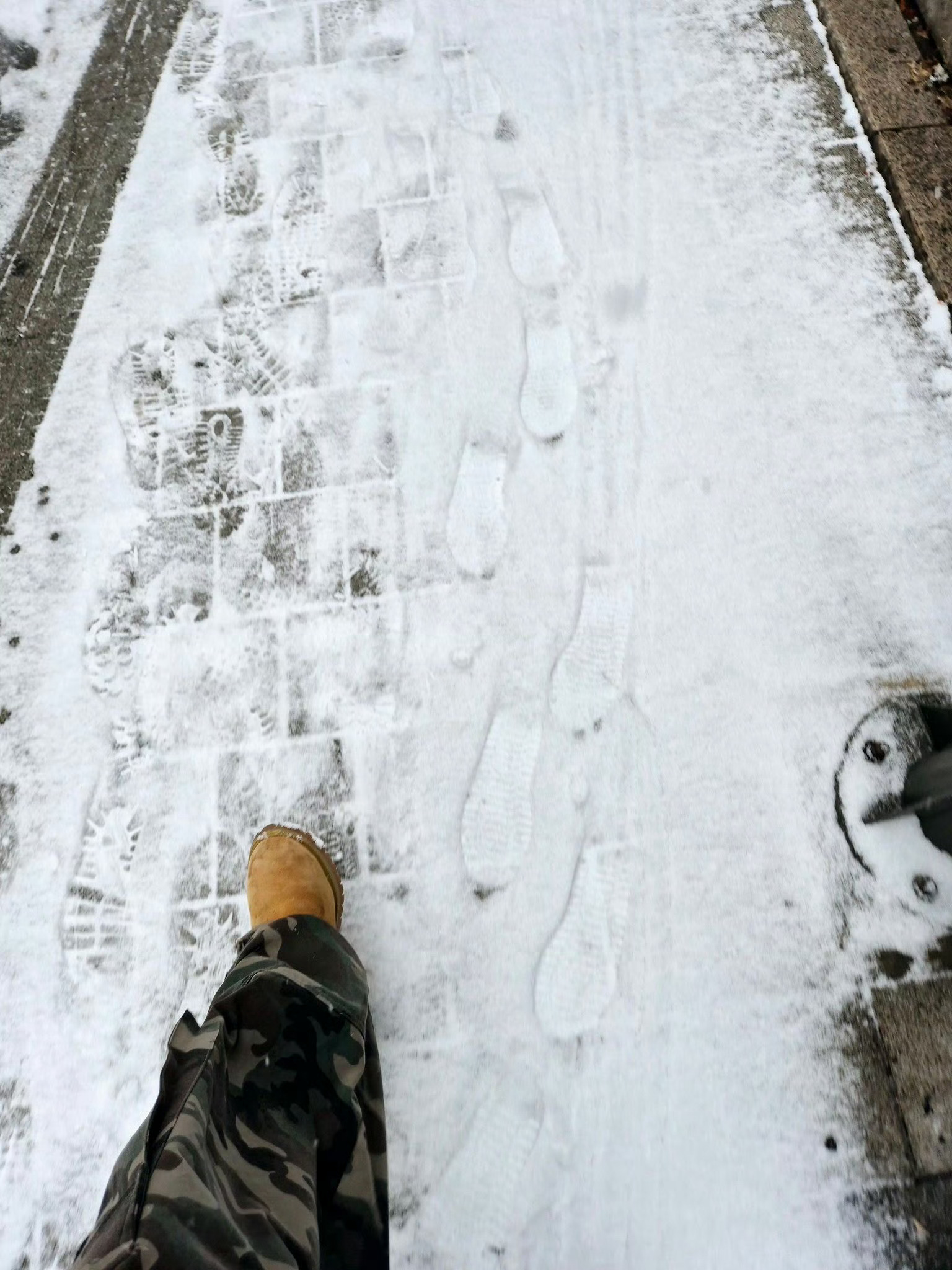 我用0秒就知道了图中有几只🐧  你也来试试看吧 
