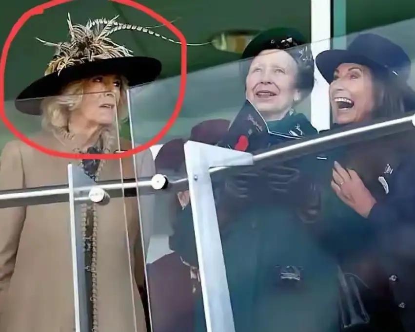 继凯特后，卡米拉又遇一劲敌？
这人是谁呢？
她是凯特的妈妈，也是助力女王登上王妃