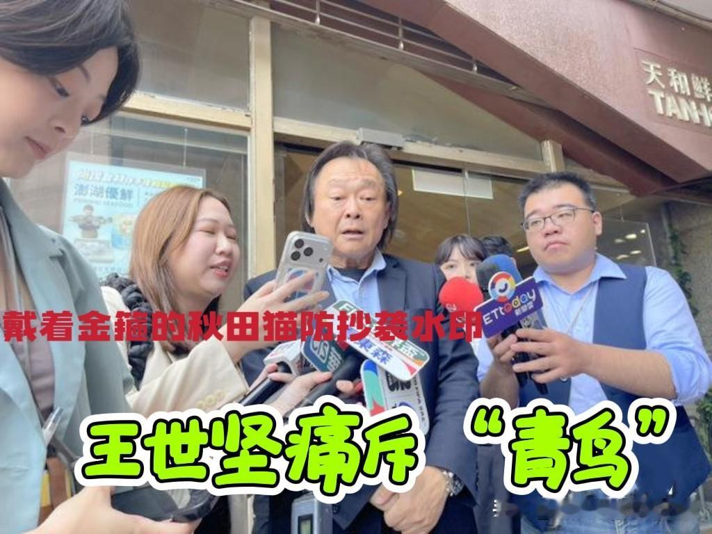 绿营内部乱咬，引王世坚不愤！坚哥怒批“青鸟”：自家参选人说句话，你们就往死里骂她