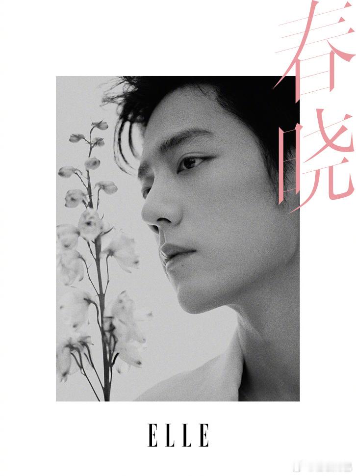 肖战新杂志开年新封面，三登 ELLE，继金九之后即将二度坐镇杂志一月新刊 ！OG