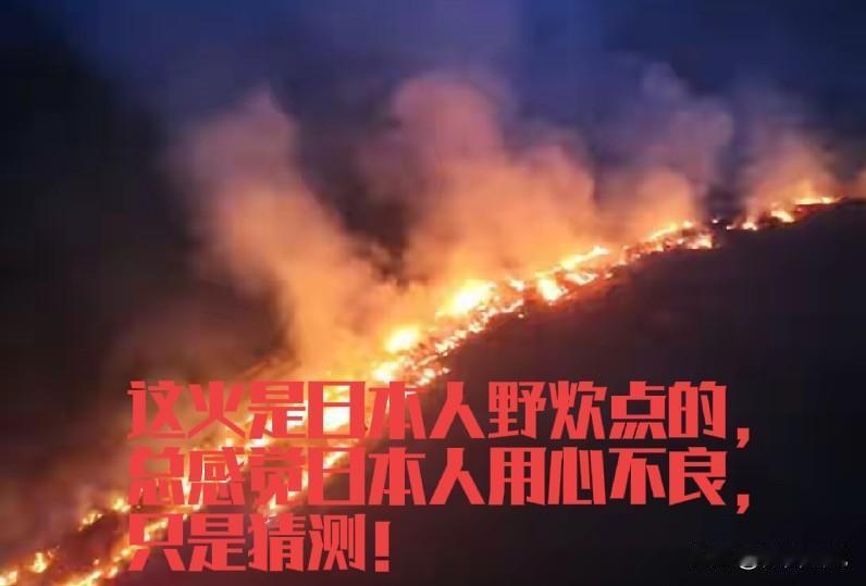 蒙古大火是不是阴谋很难说，但是这个火是日本人放的（故意还是有意目前无法判定），烧
