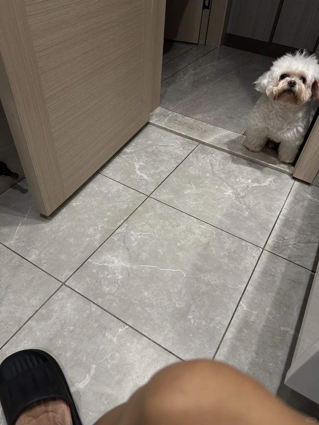 以为它很喜欢我，后来发现只是零食喂得多。