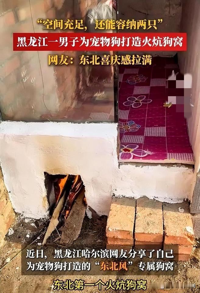 暖心又搞笑！男子给狗烧炕狗窝“仙气”飘飘

近日，一男子担心自家狗狗冬天受冻，特