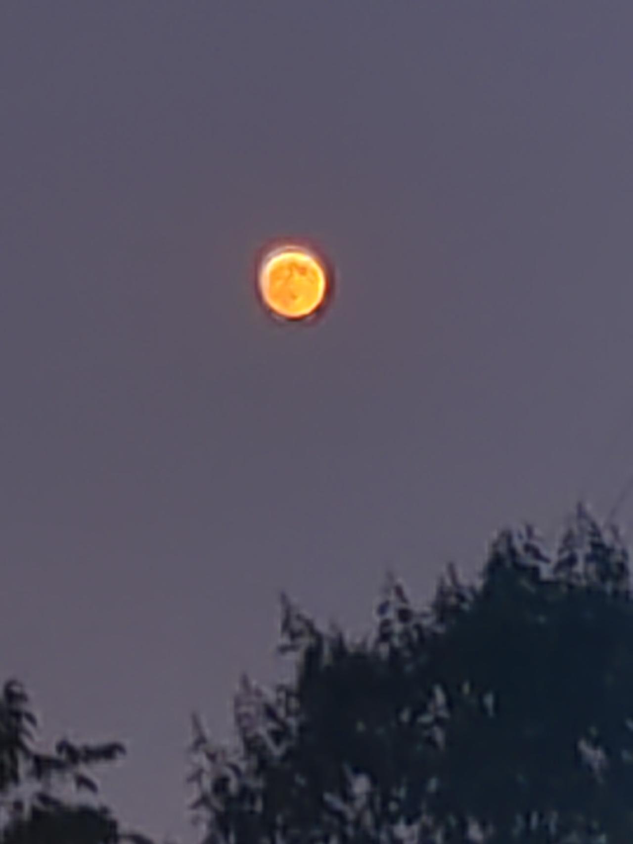 上联：月落相思何处去，安子邀对小酌浅睡梦中来