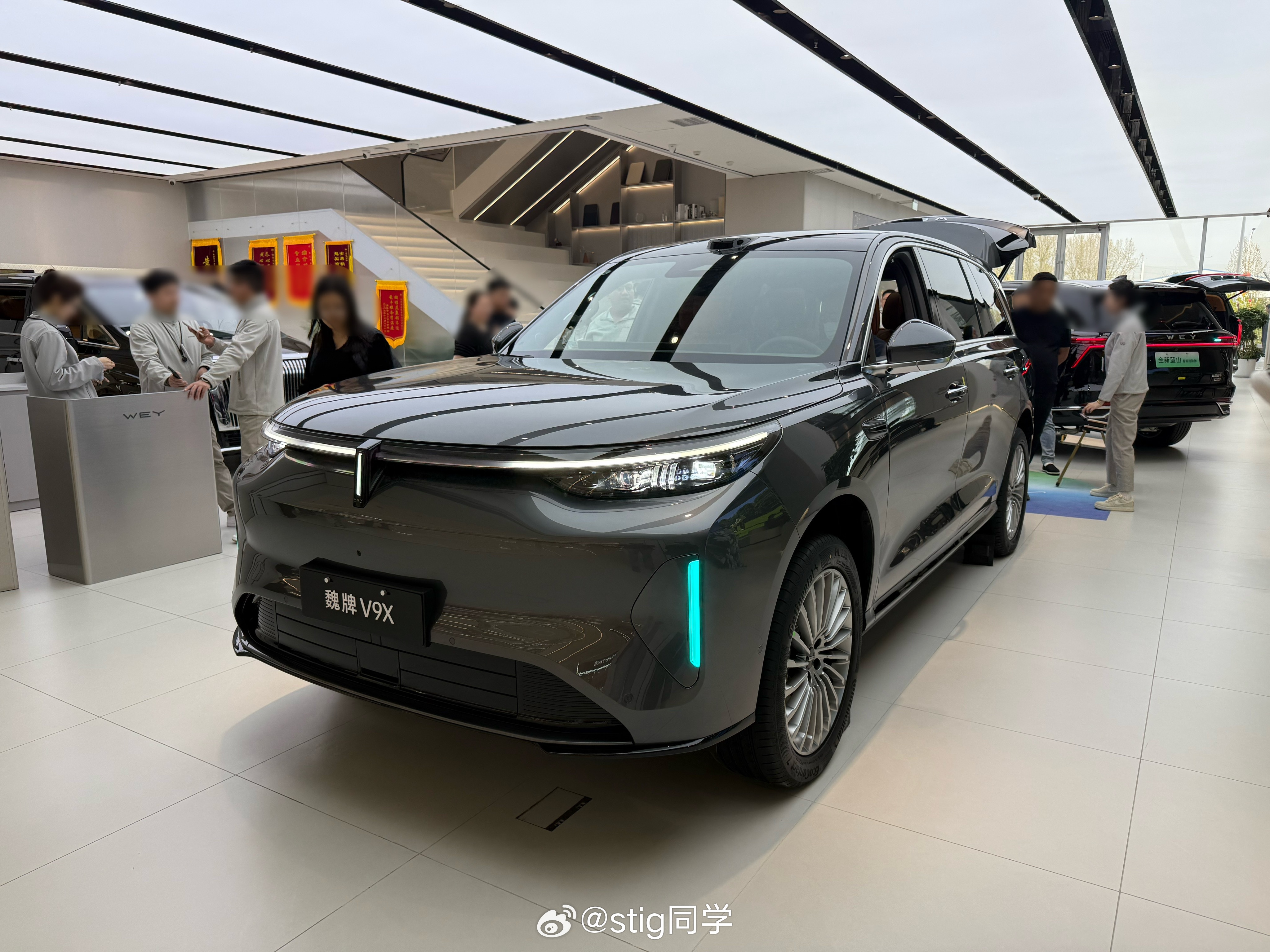 看看保定旗舰魏牌v9x 这个菱形格吧… 