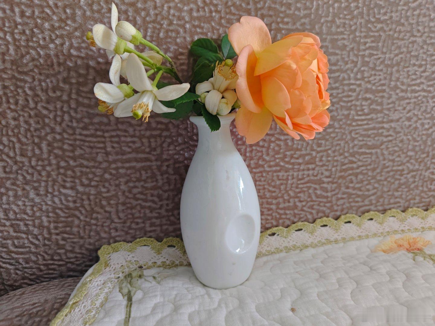 白卉宜香，彩英壮美！ 