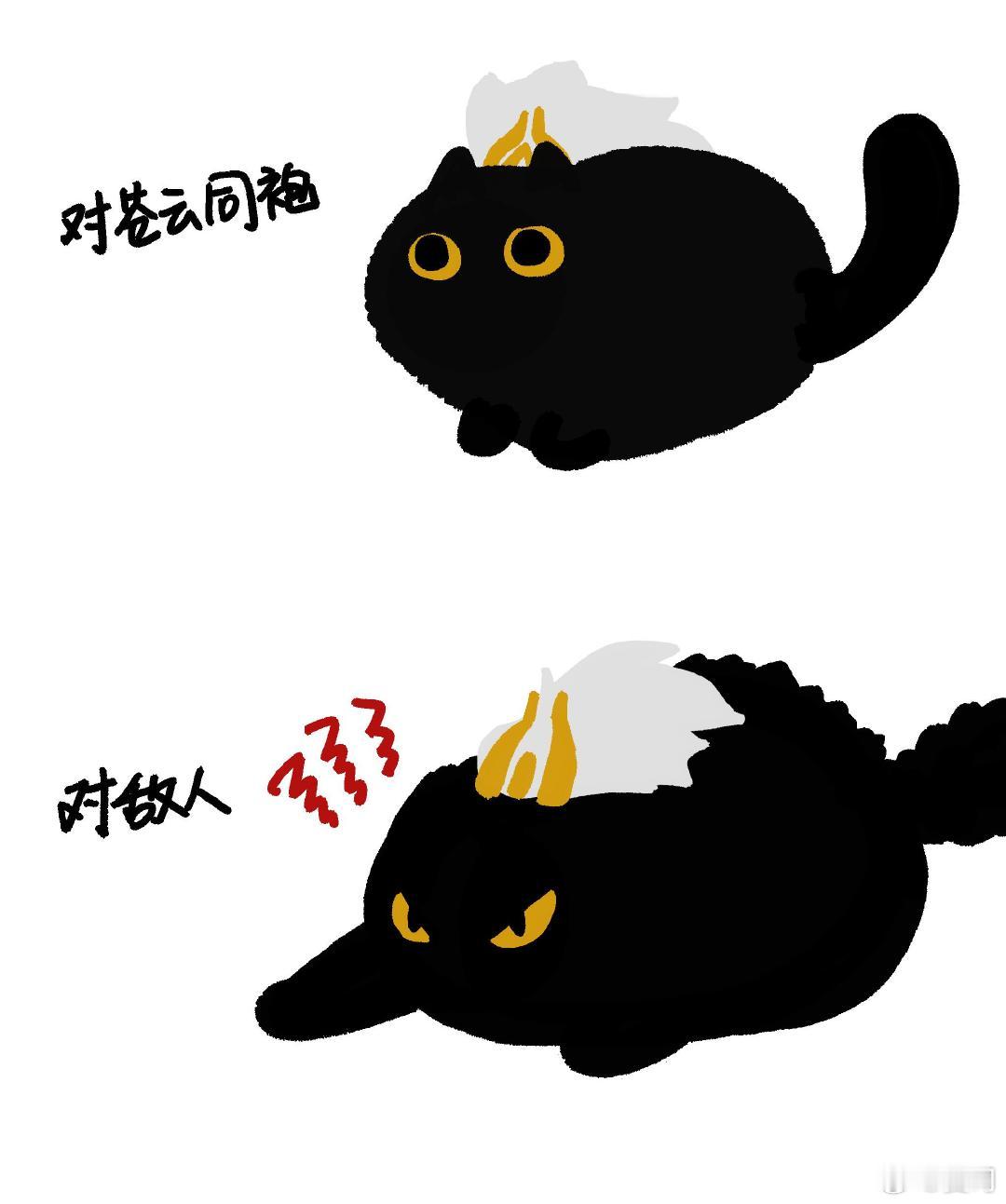 苍云是一只黑色胖猫猫！ 