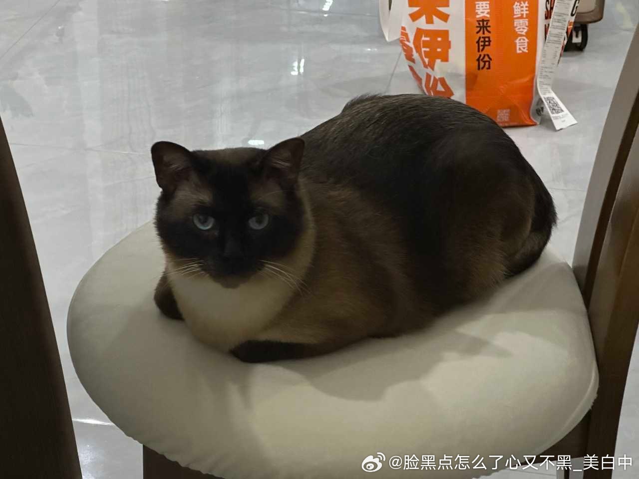 3972只黑脸大卡车来了 