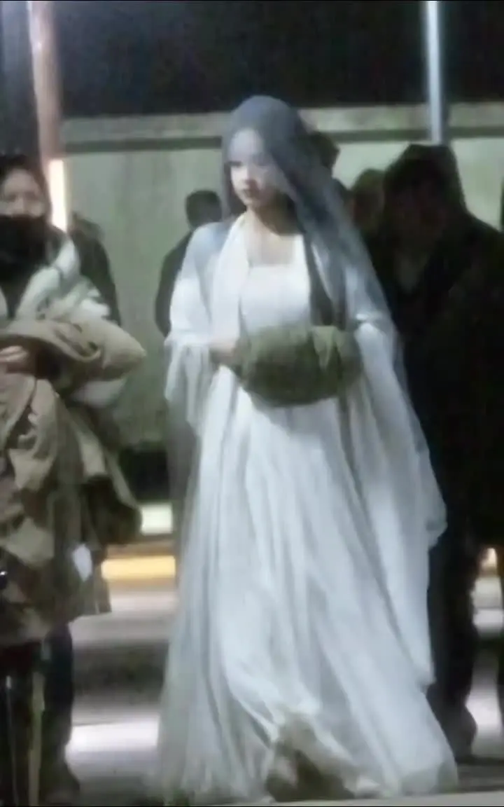 我问，“观音观音，为何额覆白纱？”她自人群中走出，只答，“菩萨低眉，不...