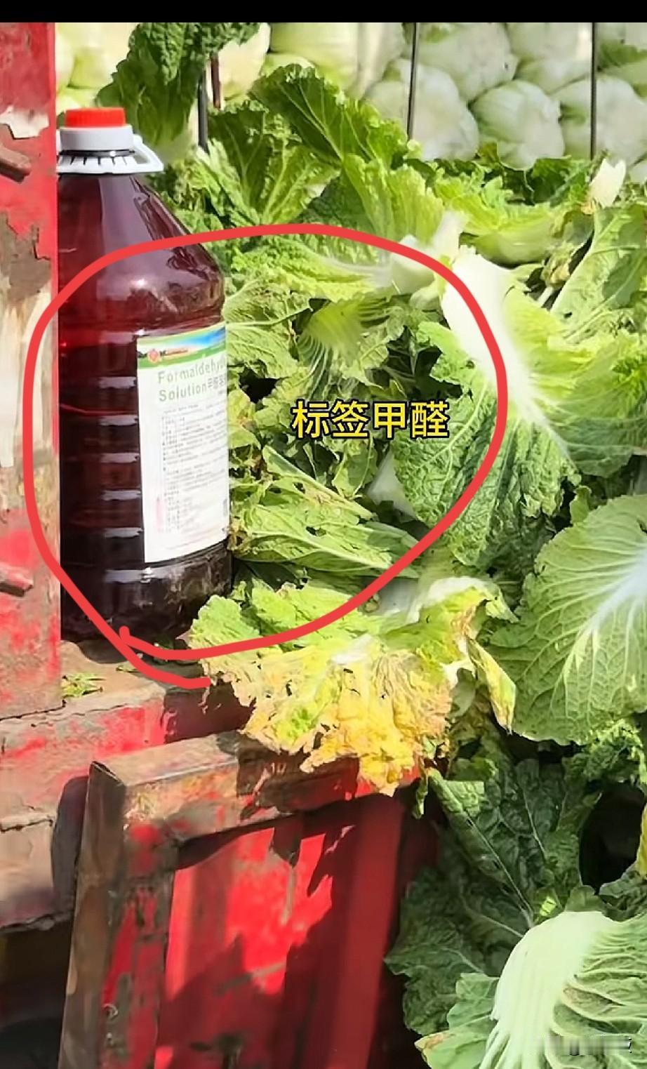 白菜蘸甲醛这事爆出来
说白了都是利益惹的祸
当一个人
一个行业没了良心
没了法律