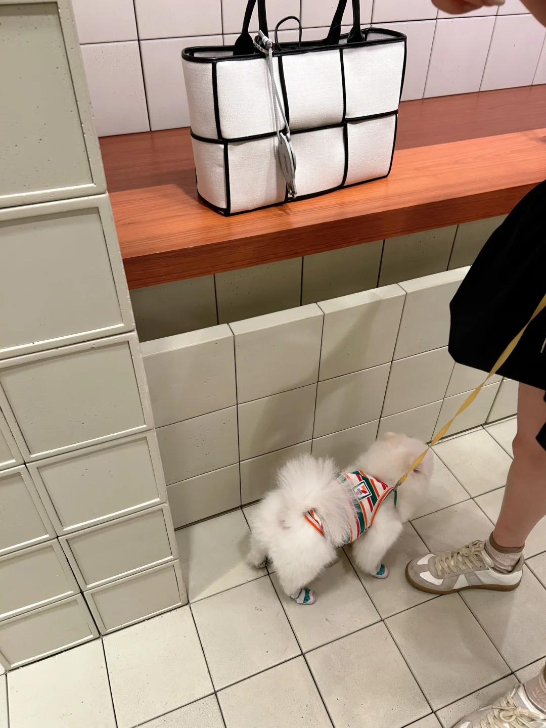 卖个萌有用吗🔳