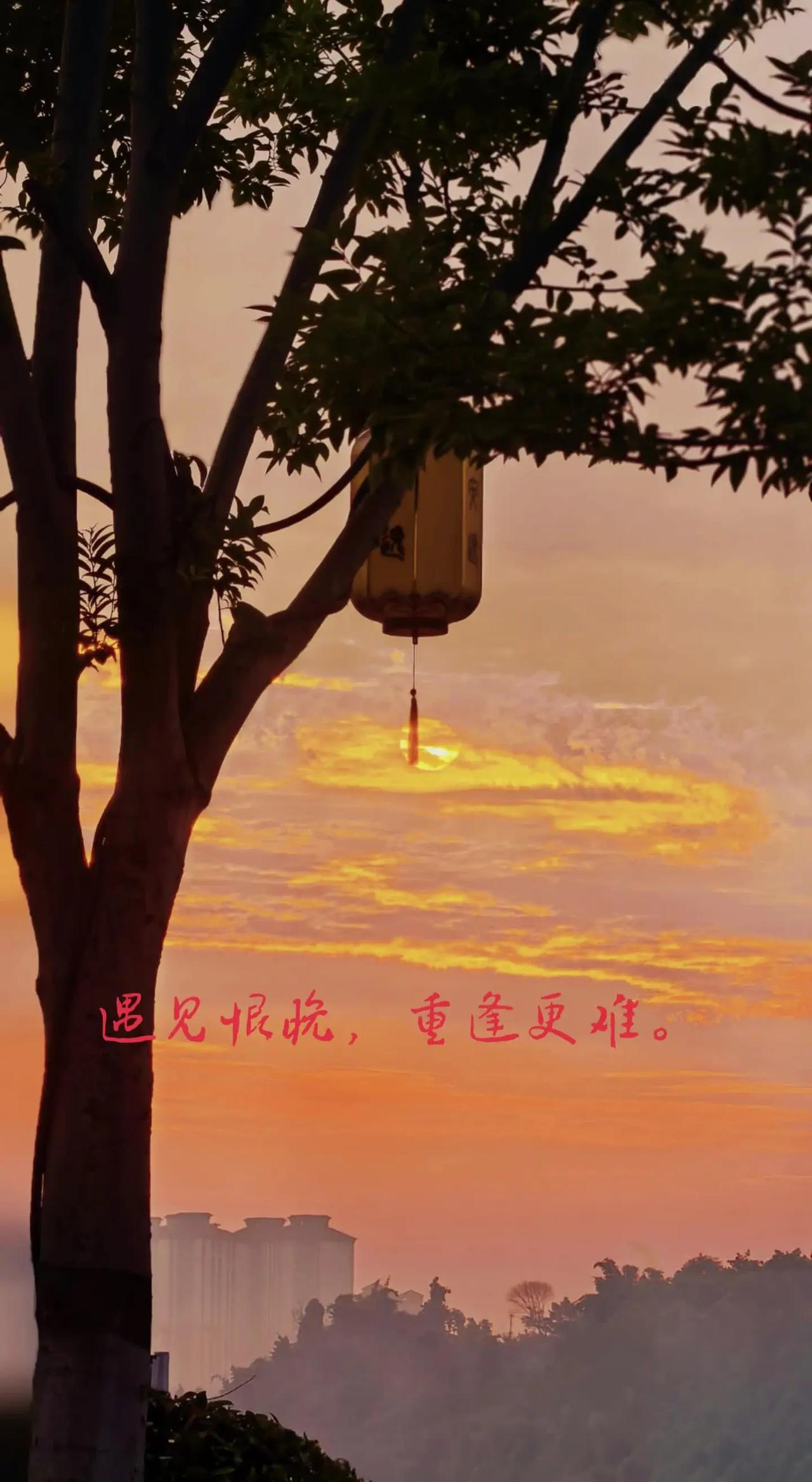 朝朝暮暮早为常，闲言碎语几十载，相依为命到终年…