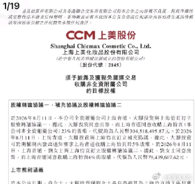 章子怡靠什么走到的今天 