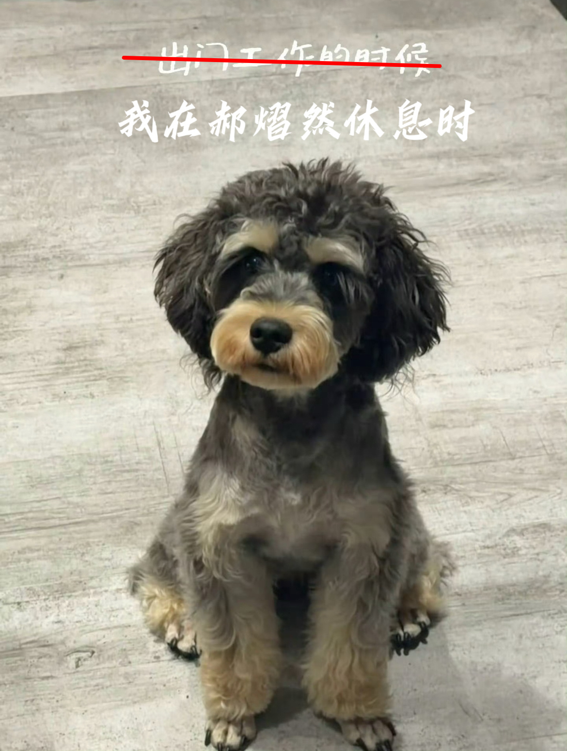 郝熠然休息和出现的时候，我的表情和star一致 